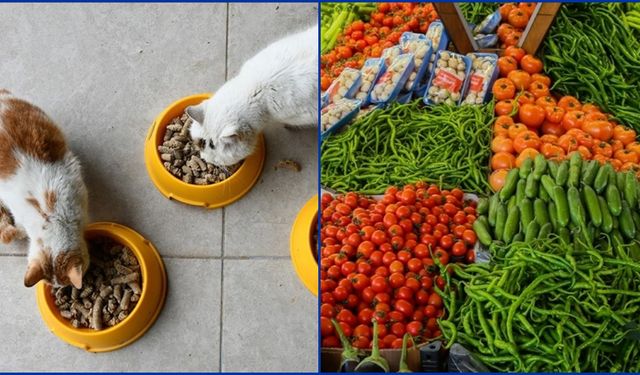 Kasımda fiyatı en çok artan evcil hayvan ürünleri oldu