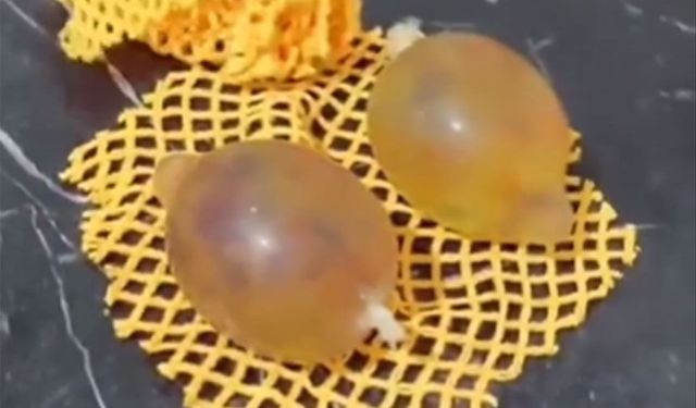 Eskişehirli babanın çektiği video sosyal medyayı salladı