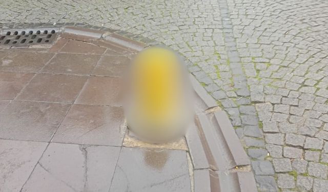 Eskişehir’de yaya yolunun ortasında korkutan manzara!