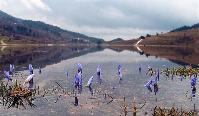 Bahar geliyor: İkinci cemre için geri sayım başladı!