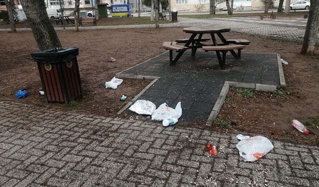 Eskişehir'de park ve bahçeler çöpten geçilmiyor: Uyarı var ama...