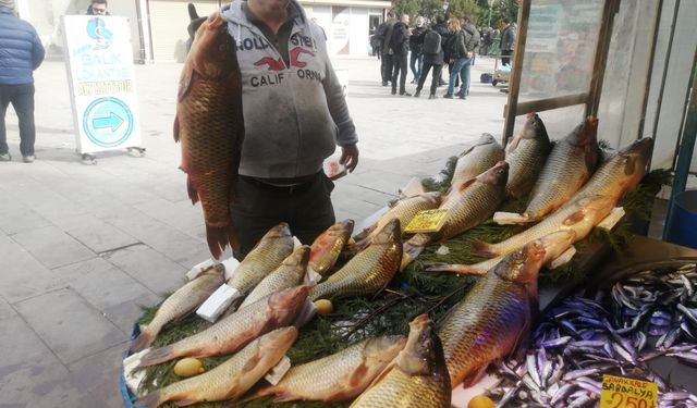 Eskişehir'de dev balıklar tezgahlara düştü: İşte fiyatı...