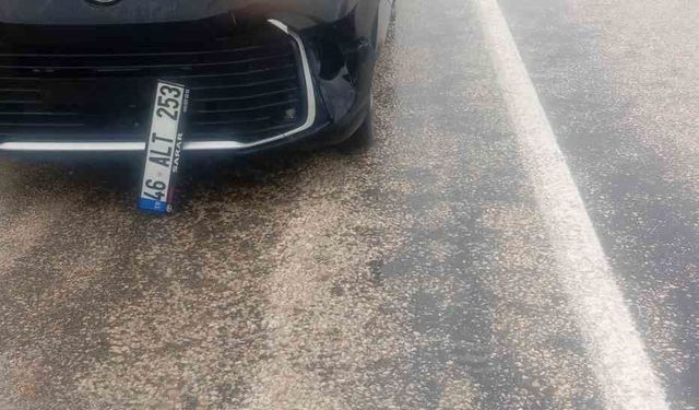 Köpeğe çarpan araç kaza yaptı: maddi hasar oluştu