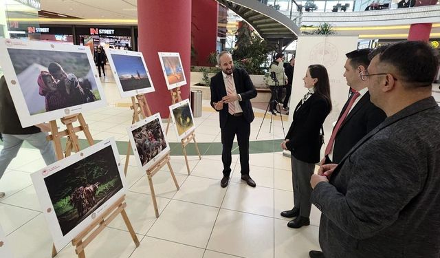 'Uluslararası Tarım, Orman ve İnsan Fotoğraf Sergisi' Kütahya'da açıldı