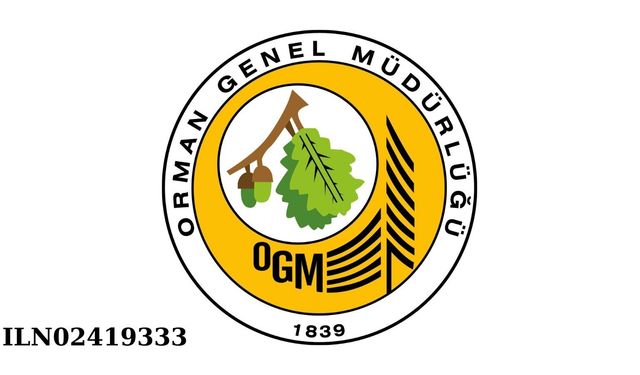 Danışmanlık Hizmeti Alımı