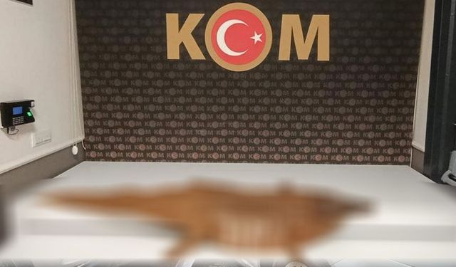 Durdurulan araçtan öyle bir şey çıktı ki, polis bile inanamadı