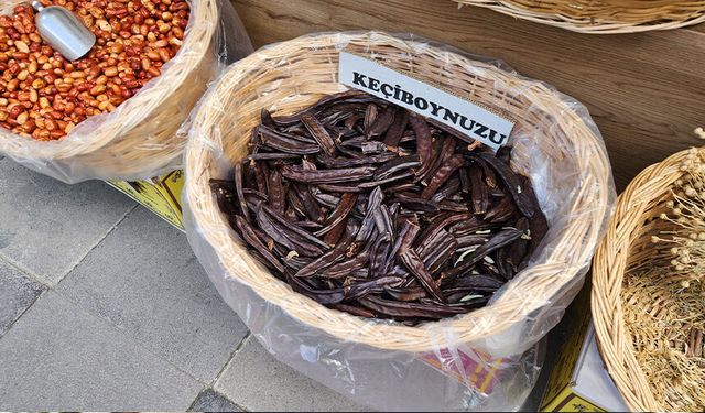 Eskişehir'de fazlaca tercih ediliyor: Faydaları saymakla bitmiyor