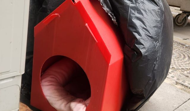 Eskişehir’de sokak hayvanları için anlamlı adım