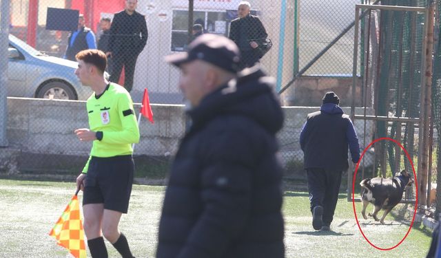 Eskişehir'de amatör küme maçında sahaya köpek girdi