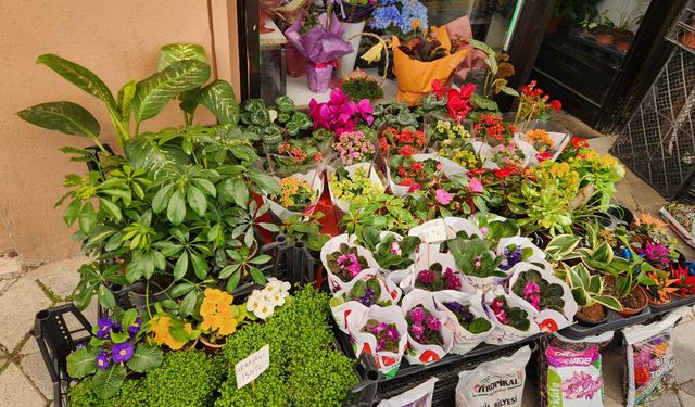 Eskişehir'de havalar ısındı, çiçekler ilgi gördü!