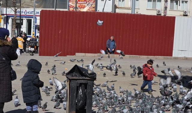 Güneşli havayı fırsat bilen aileler Köprübaşı'na akın etti