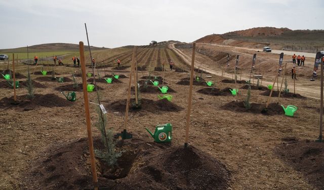 Eskişehir'de binlerce fidan toprakla buluşacak