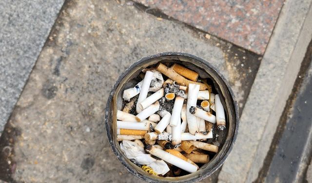 Eskişehir'de dubalar izmaritliğe döndü