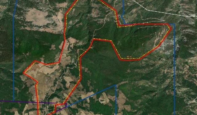 Alpagut Atalan'da keşif yapılacak!