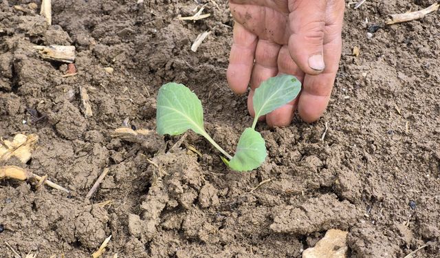 Eskişehir’de sezonu başladı: İlk tohum ve fideler toprakla buluştu