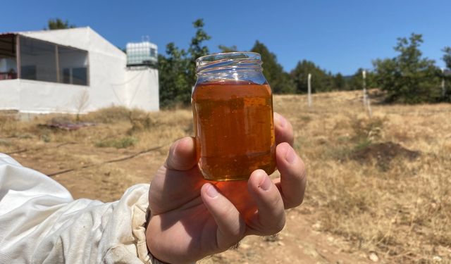 Eskişehir'de üretilip Avrupa'da rekor kırdı!