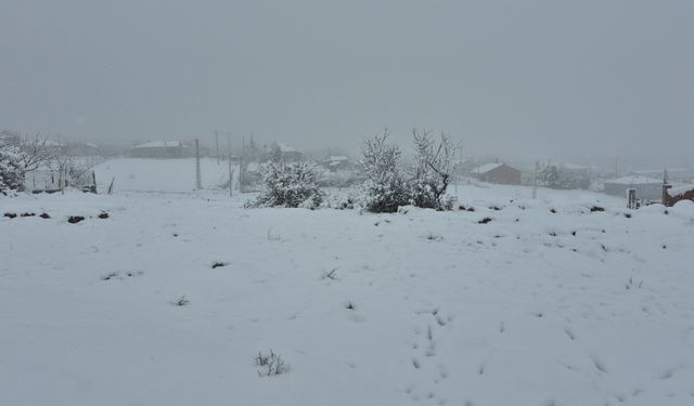 Eskişehir'in yüksek kesimi beyaza büründü