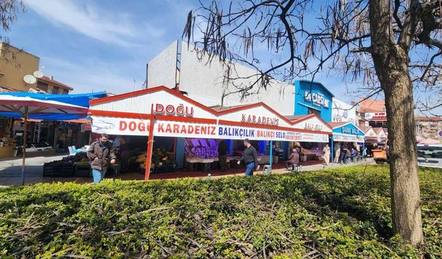 Eskişehir’de havalar ısındı, balık satışları düştü!