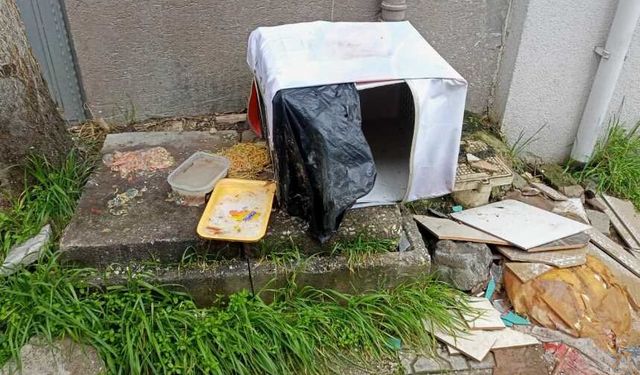 Şirintepe'de bozulmuş yemekler sokakta tepki çekti