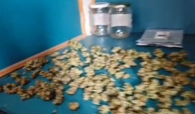 Eskişehir'de zehir tacirlerine büyük darbe: Kilolarca ele geçirildi