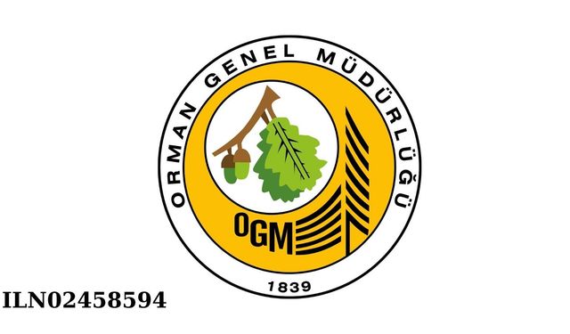 Sürücülü Treyler Kiralanması Hizmet Alım İşi