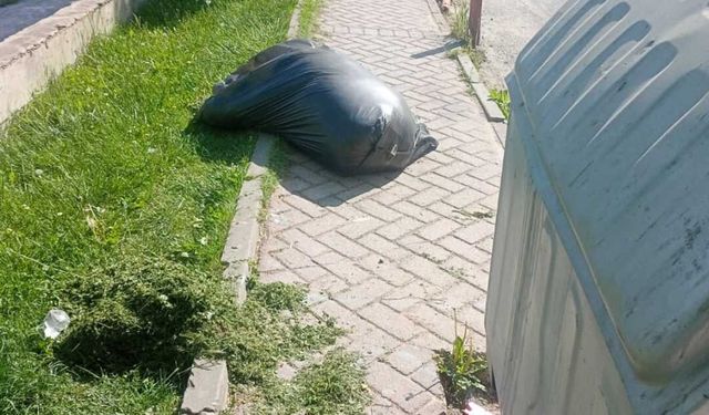 Uluönder’de çimler kaldırıma taştı
