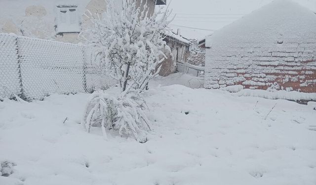 Eskişehir'de kar etkili oldu: Bazı ilçeler beyaza büründü