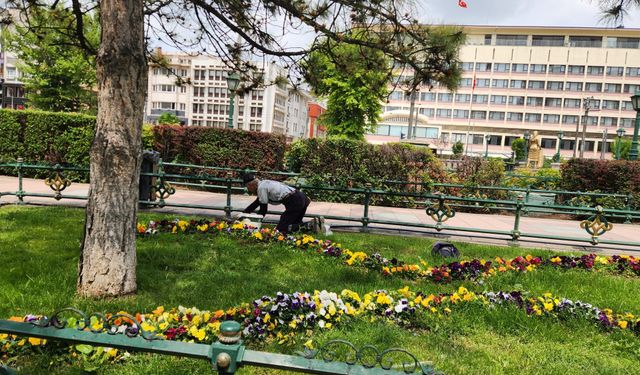 Eskişehir'in yeşillik alanlarında çalışmalar başladı!