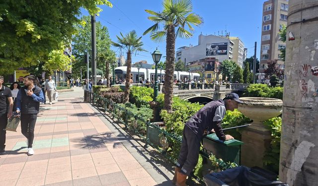 Eskişehir'de peyzaj alanlarında bakım çalışması