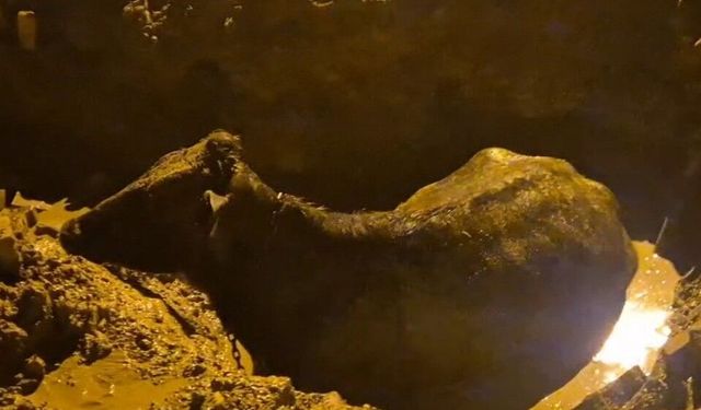 Vatandaş fark etti, ekipler yetişti: İnek böyle kurtarıldı!