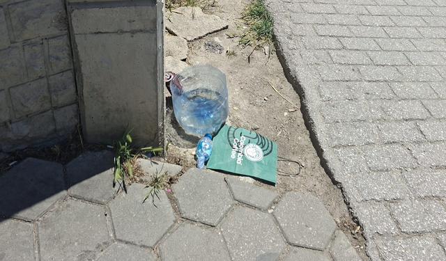 Eskişehirli vatandaşlardan sokak hayvanlarına destek