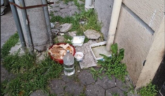 Eskişehir'de duyarlılık gösterildi ama...