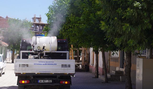 Tepebaşı Belediyesi sahada: İlaçlama çalışmaları aralıksız devam ediyor!