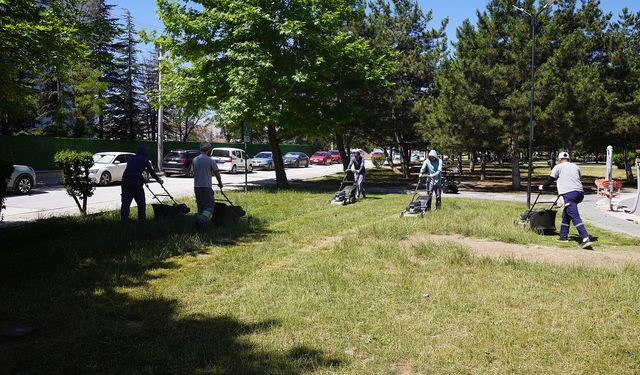 Eskişehir Tepebaşı’nda parklar yaza hazırlanıyor