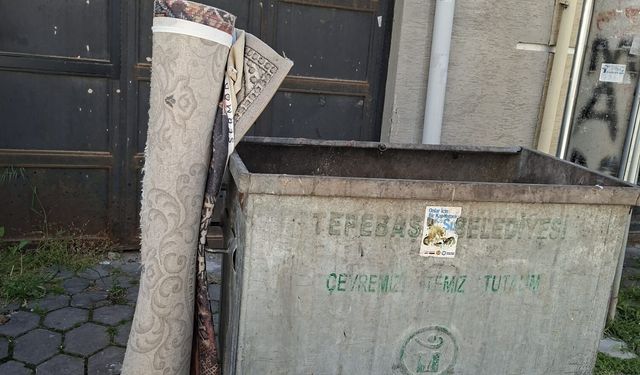 Konteyner yanına bırakılan halı tepki çekti