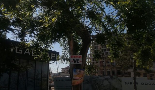 Eskişehir'de ağaçlar reklam panosundan farksız halde