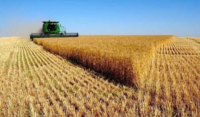 Eskişehir'de sezonun ilk mahsulü Osmaniye’den