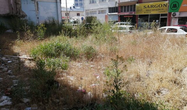 Eskişehir'de kamu arsası ot tarlasına döndü