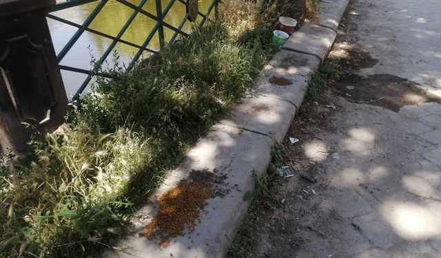 Eskişehir’in sokaklarında kirlilik artıyor: Tepkiler büyüdü!