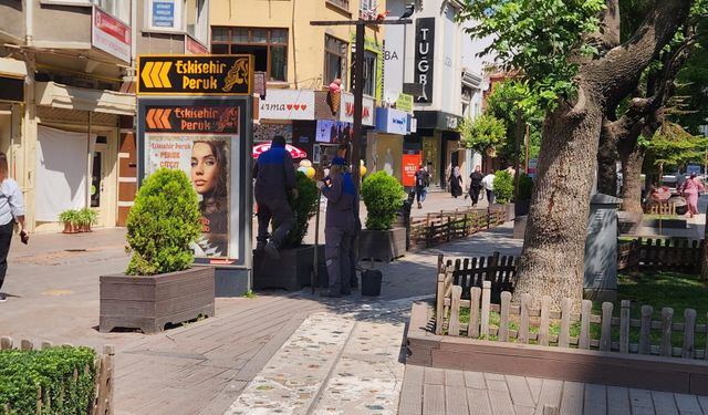 Hamamyolu'ndaki saksılar mevsimlik çiçeklerle buluşuyor