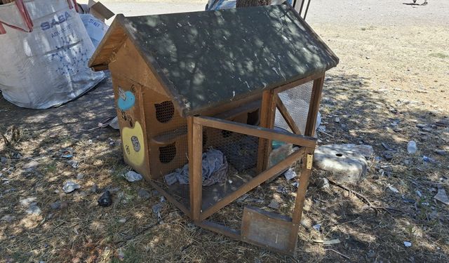 Eskişehir'deki kedi kulübesi bakım bekliyor