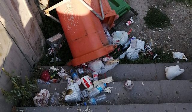 Eskişehir'de vandallar İş başında: Çöp kutularına zarar verdiler
