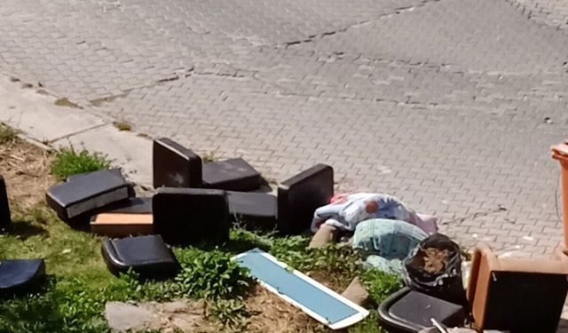 Eskişehir'de duyarsızlığın böylesi: Parçalayıp sokağa fırlattılar