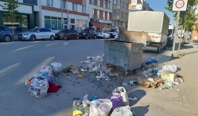 Sütlüce Mahallesi'nde konteynerler boş, çöpler çevreye saçıldı