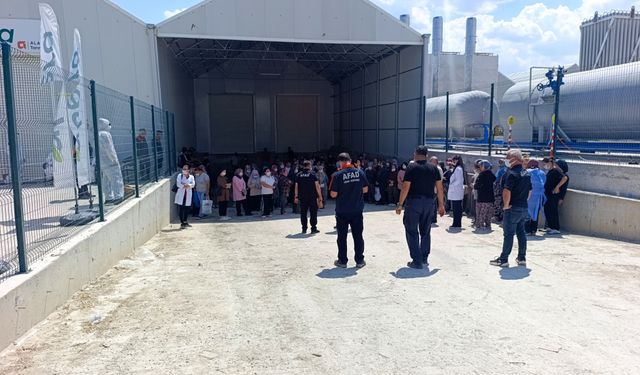 Serada ilaçlama sonrası zehirlenme:  33 işçi rahatsızlandı