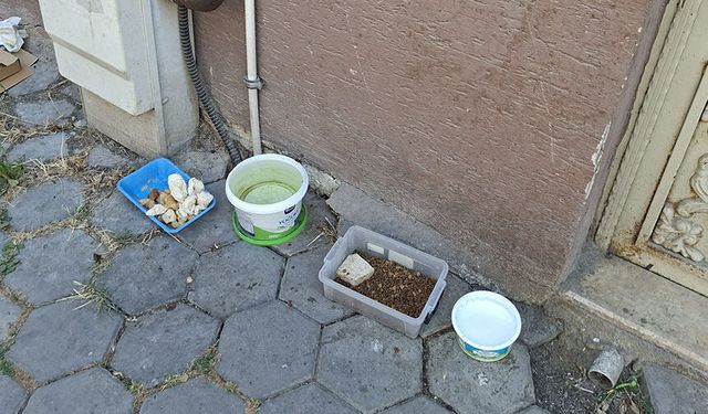 Eskişehir'de vatandaşlar sıcak havalarda sokak hayvanlarını unutmadı