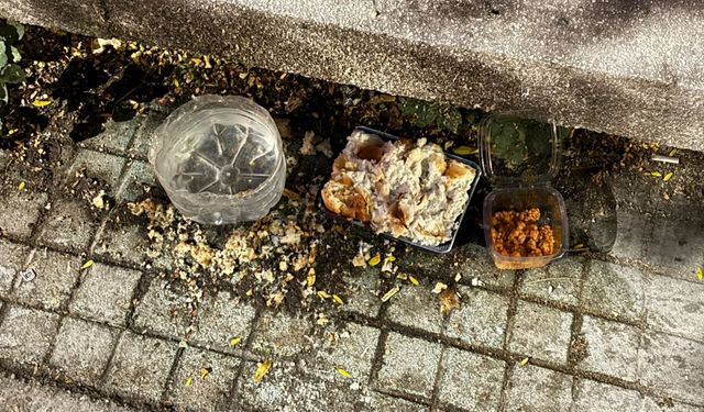 Eskişehir'de iyilik adı altında hayvan sağlığı tehlikeye atıldı