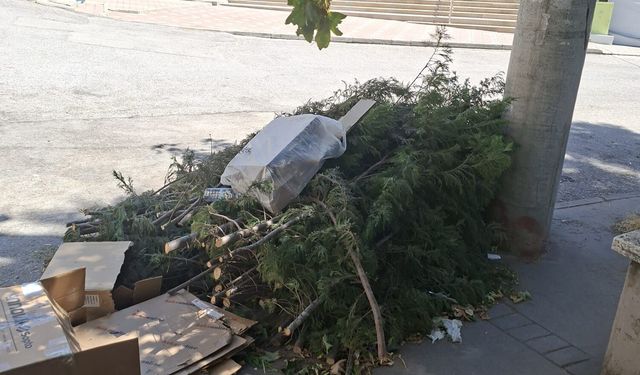 Dal yığını bir haftadır kaldırılmayı bekliyor