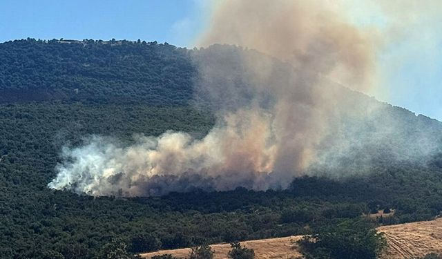 Mihalıççık’ta orman yangını: Ekipler ve helikopterler seferber oldu