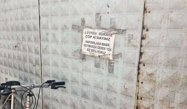 Eskişehir'de sokak hayvanları için duyarlı çağrı